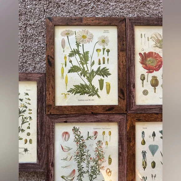Framed Floral Print Set - Picture 4 of 5